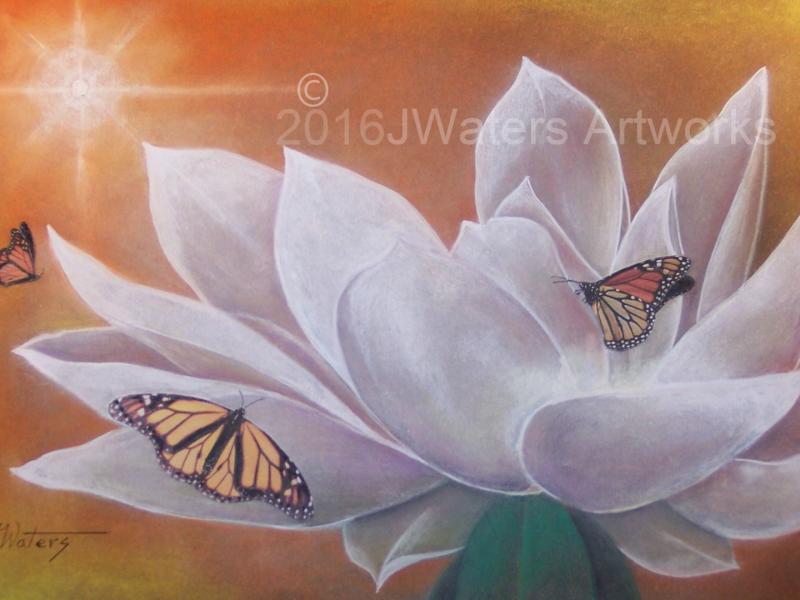 Magnolia and Butterflies
