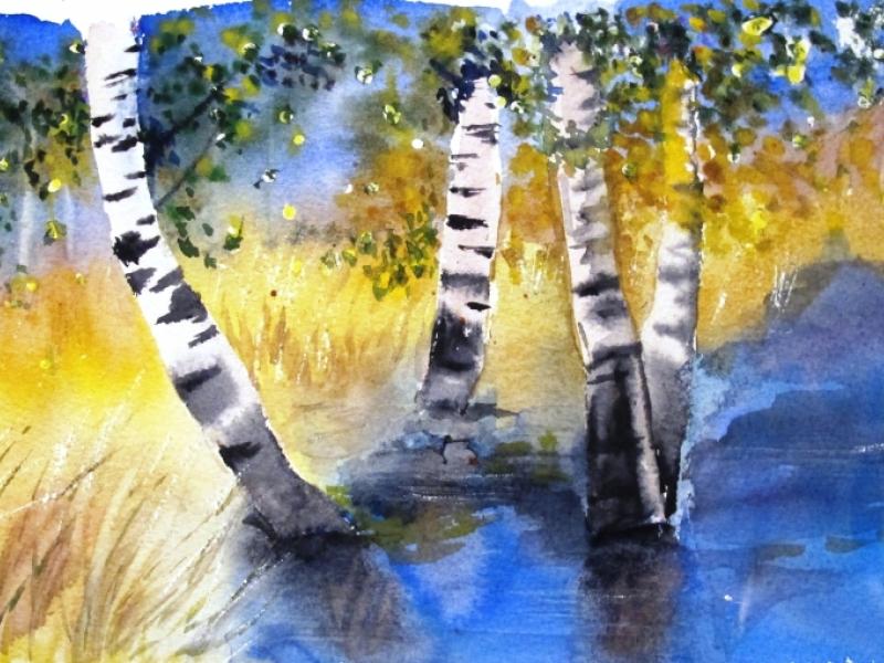 Stand of birches