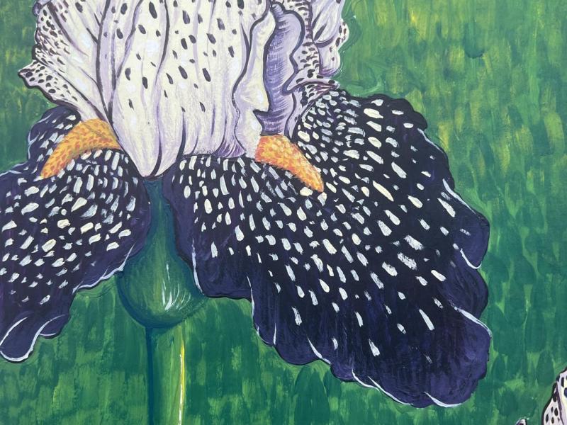 A painting of an Iris