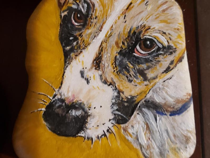 Closeup of Dog painted on rock, focusing on eyes.