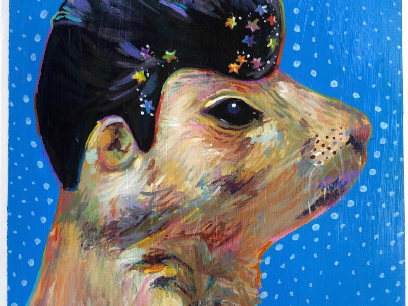 A prairie dog with Elvis hair, and glitter stars in his hair. A blue background. 
