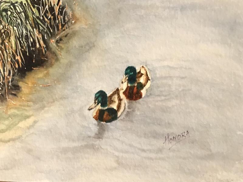 Two Mallard Ducks