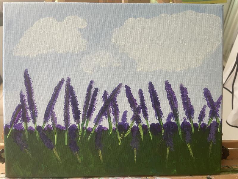 Lavender flowers in a field with clouded sky