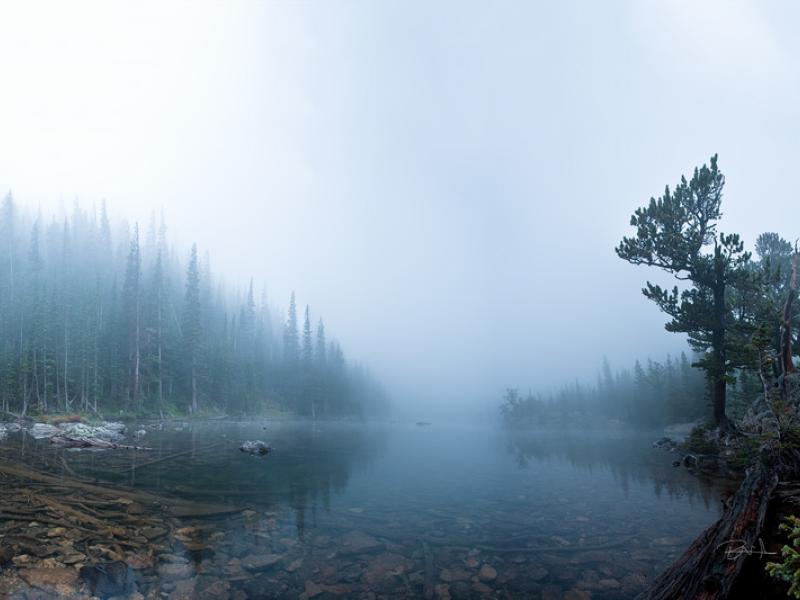 Dream Lake in Fog