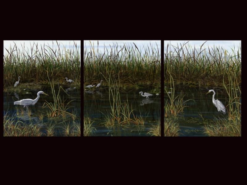 Egret and Reeds