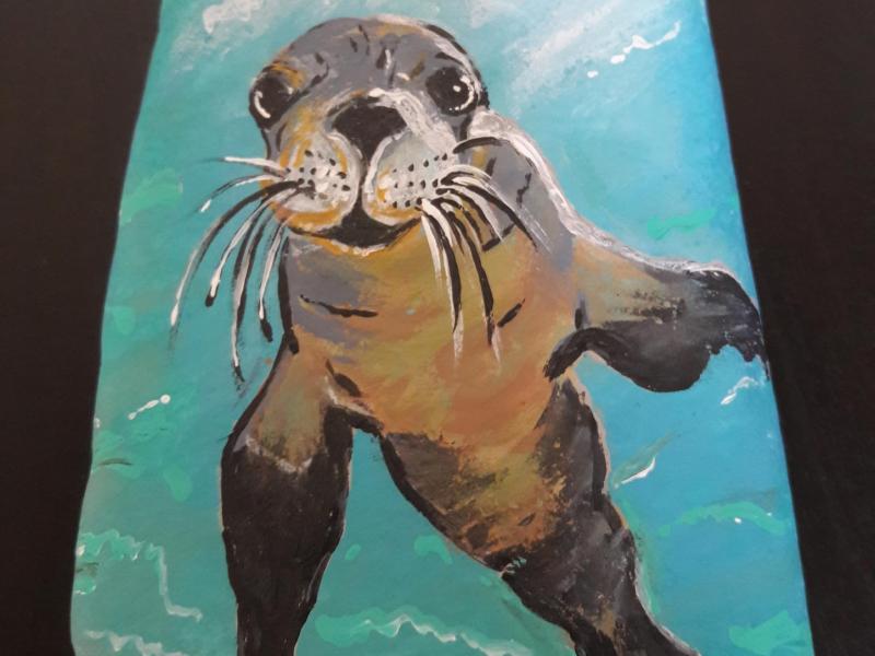 Sea Lion looking directly at me. Painting on rock.
