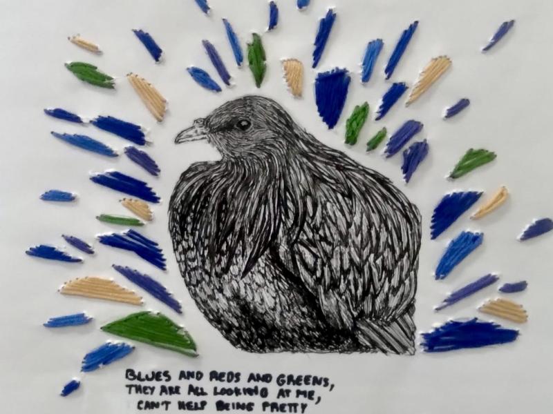 Nicobar pigeon with text that says Blues and reds and greens, they are all looking at me, can't help being pretty