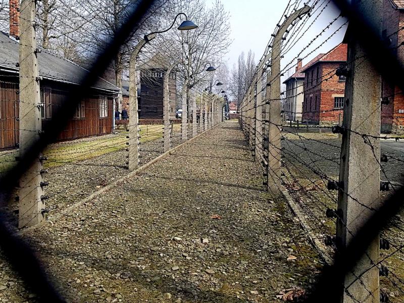 Through the gates of Auschwitz from their perspective.
