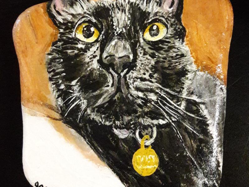 Painting of black cat with gold name tage on Santorini stone.