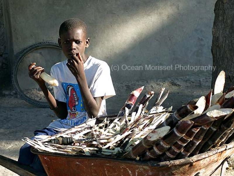 "Sugarcane vendor", 2004