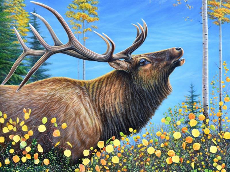 24x30 oil painting by Yvonne Hazelton depicts a beautiful Autumn Symphony created by the rustling of golden leaves and bugling of bull elk.