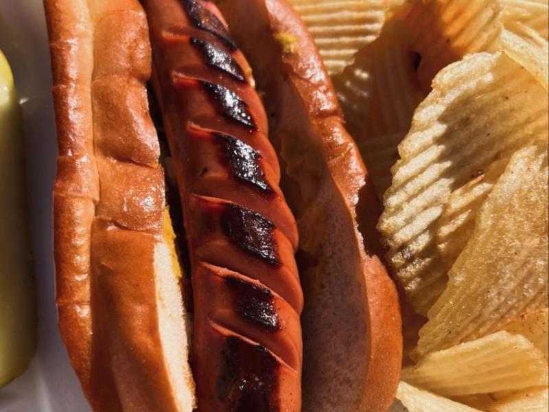 a grilled hot dog on a bun sits next to chips
