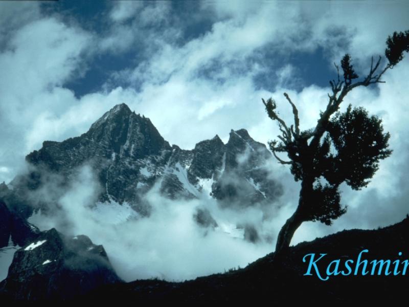 Mt. Kolohoi, Kashmir, India