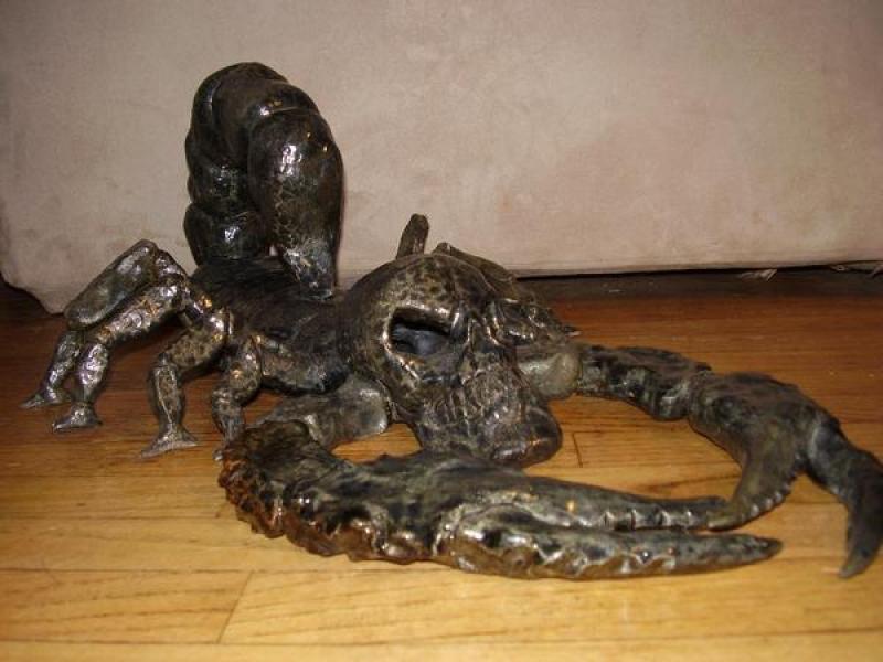 Skull-headed Scorpion