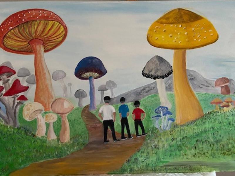 Mushrooms Forest 