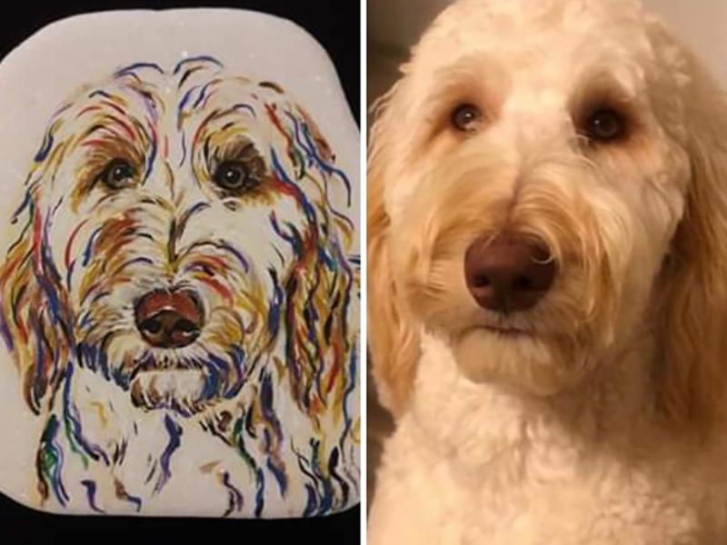 White Poodle Mix dog picture side by side with rock painting.