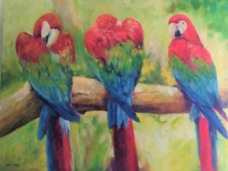 Three Tropical Macaos on a branch.