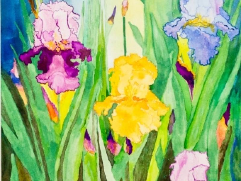 9th Annual Exhibit Iris in My Garden At Noon