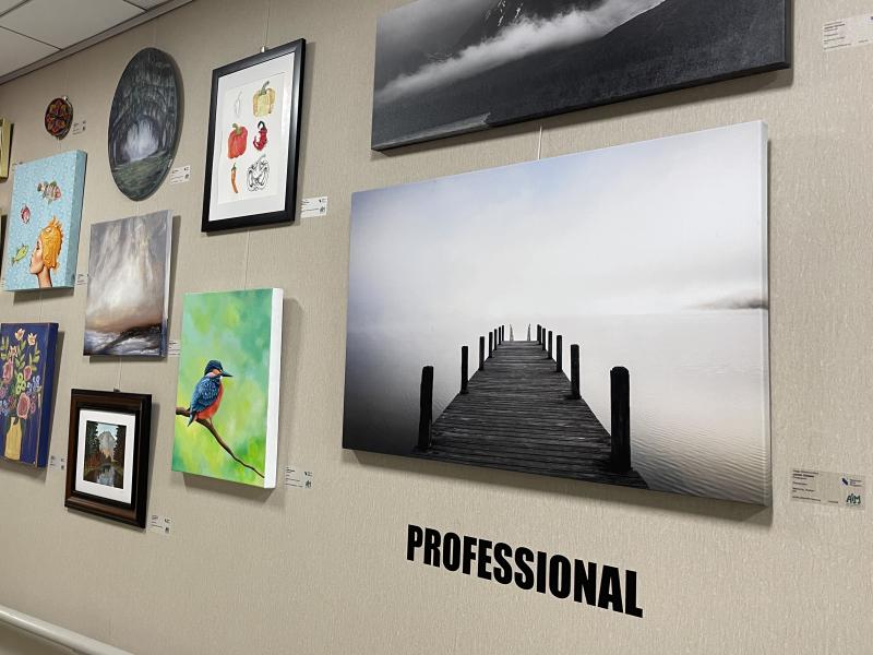Wall of Professional Artwork