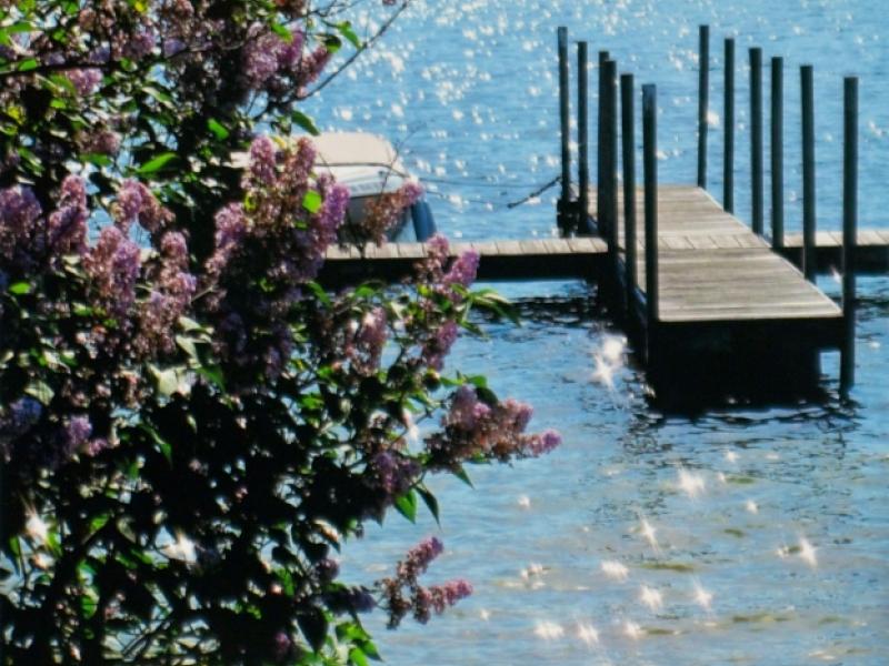 9th Annual Exhibit Lakeside Lilacs