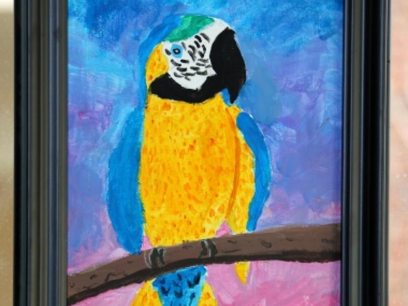 1st Annual Exhibit Parrot