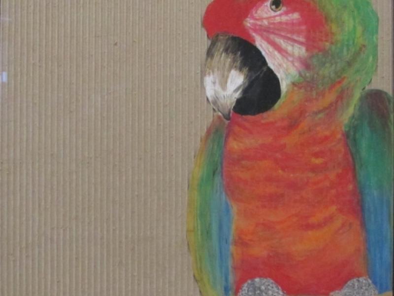 8th Annual Exhibit Kokomo the Parrot