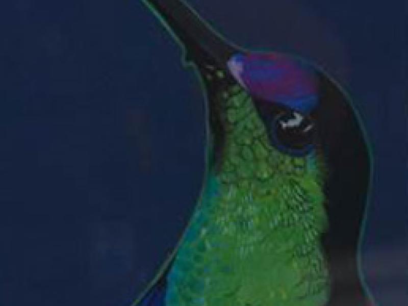 9th Annual Exhibit Hummingbird