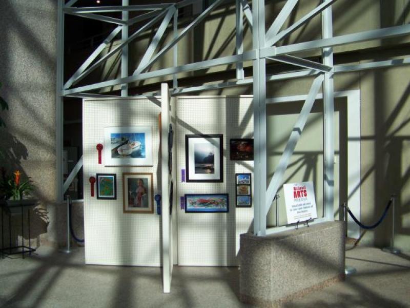 9th Annual Exhibit Artwork on display at the 2010 Union County NAP Show