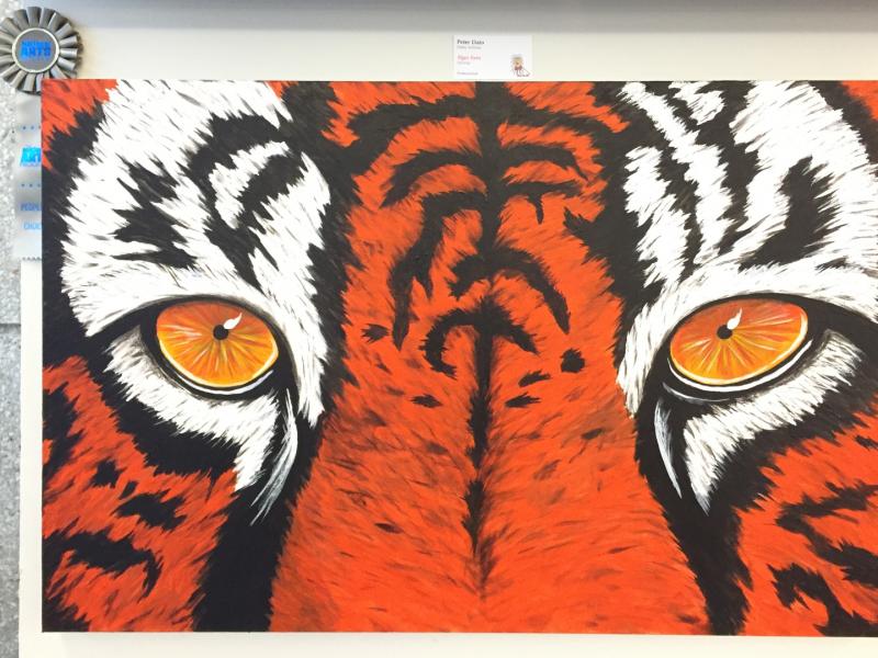 11th Annual Exhibit Tiger Eyes