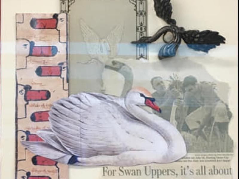 8th Annual Exhibit Queen Elizabeth's Annual Swan Upping