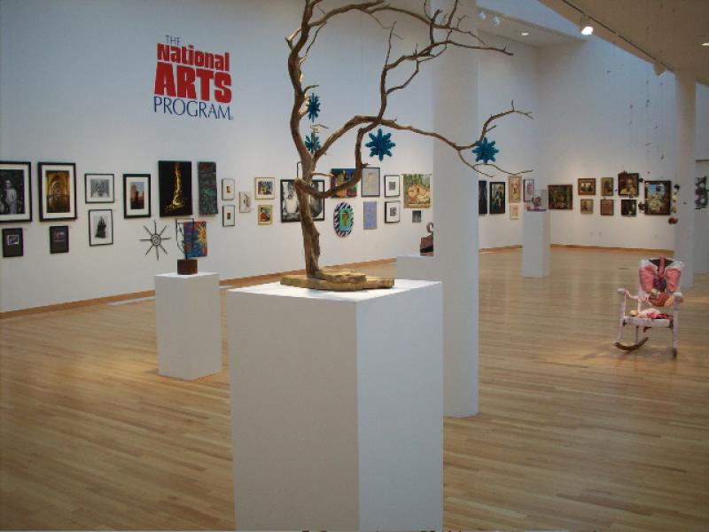 6th Annual Exhibit Side gallery view of 2008 NAP Exhibition