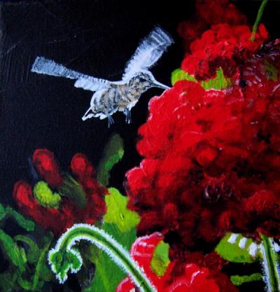 Hummingbird song of Mendelssohn