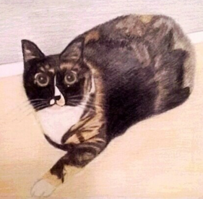 Cat using prismacolor