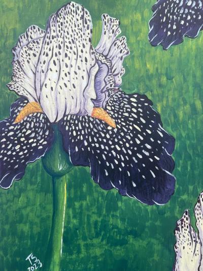 A painting of an Iris