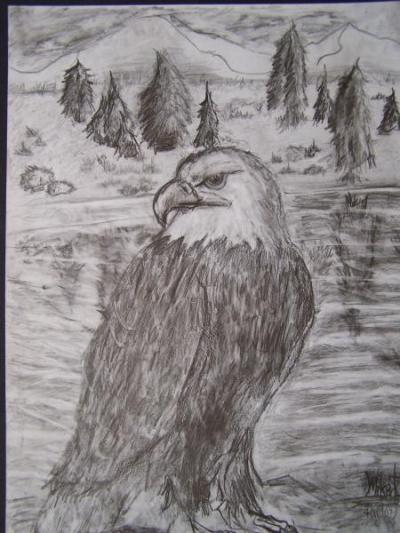 Eagle, age 9