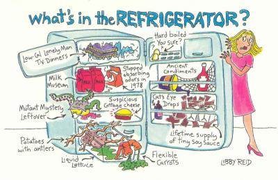 What's In The Refrigerator?