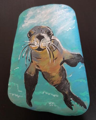 Sea Lion looking directly at me. Painting on rock.