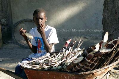 "Sugarcane vendor", 2004