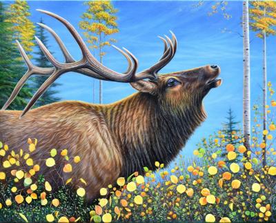 24x30 oil painting by Yvonne Hazelton depicts a beautiful Autumn Symphony created by the rustling of golden leaves and bugling of bull elk.