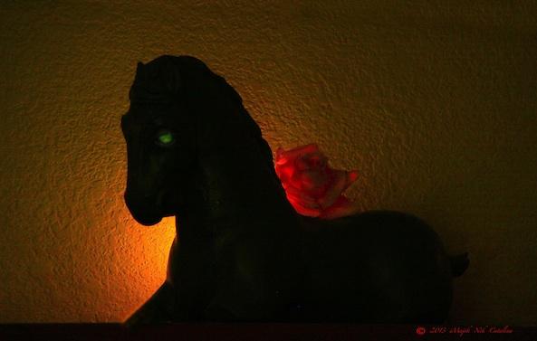 Red Rose & Stallion