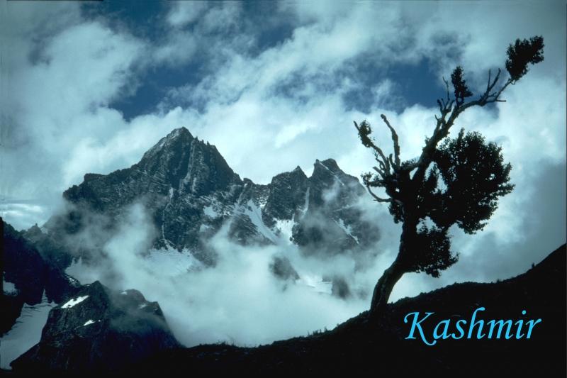 Mt. Kolohoi, Kashmir, India