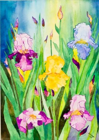 9th Annual Exhibit Iris in My Garden At Noon