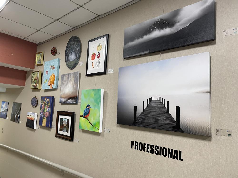 Wall of Professional Artwork