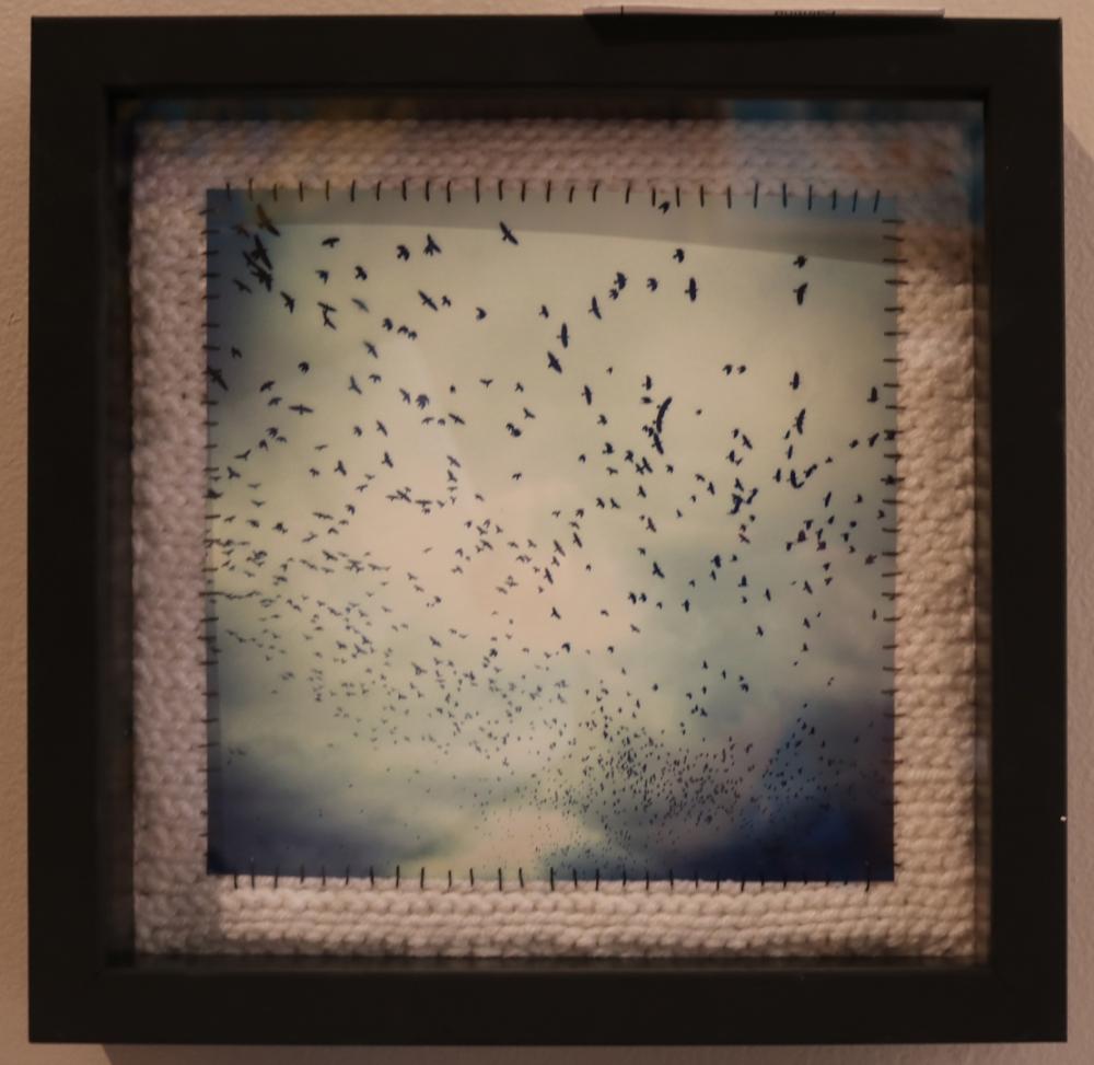13th Annual Exhibit Sky Full of Starling