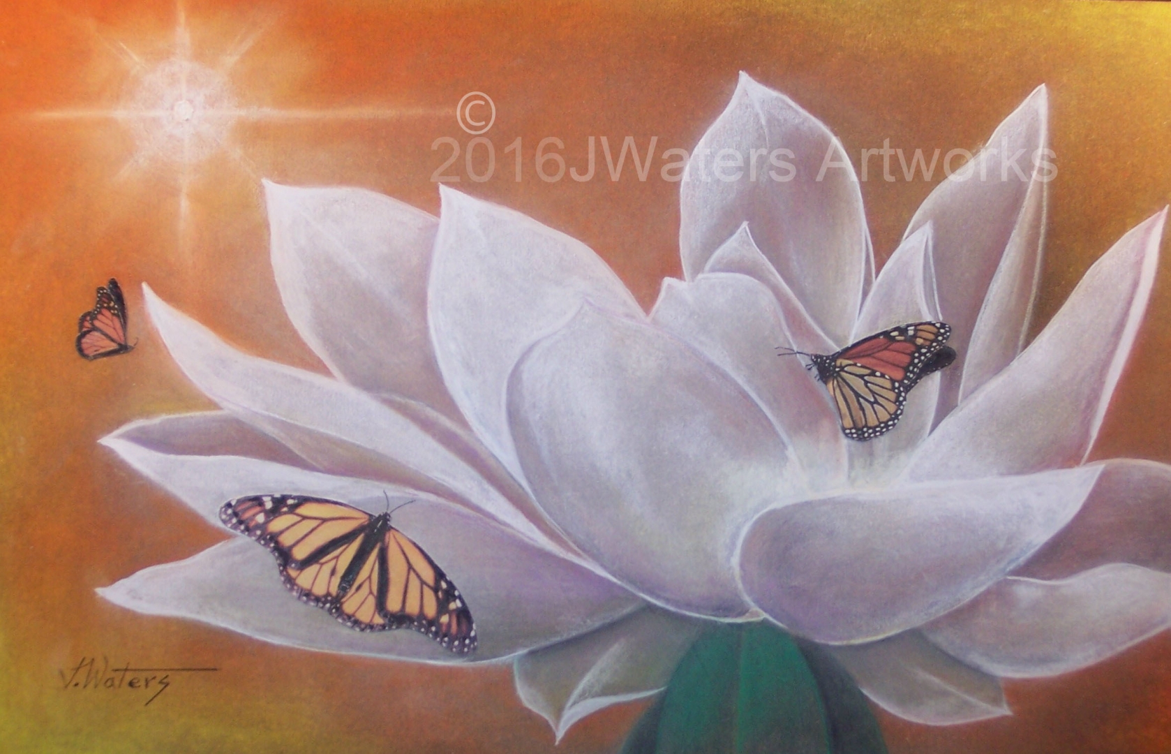 Magnolia and Butterflies