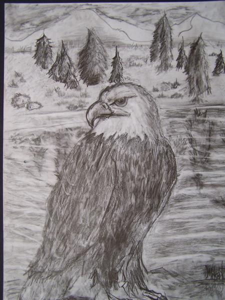 Eagle, age 9