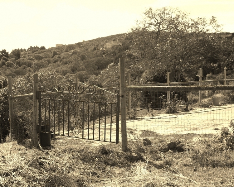 Sonoma County Gate Picture