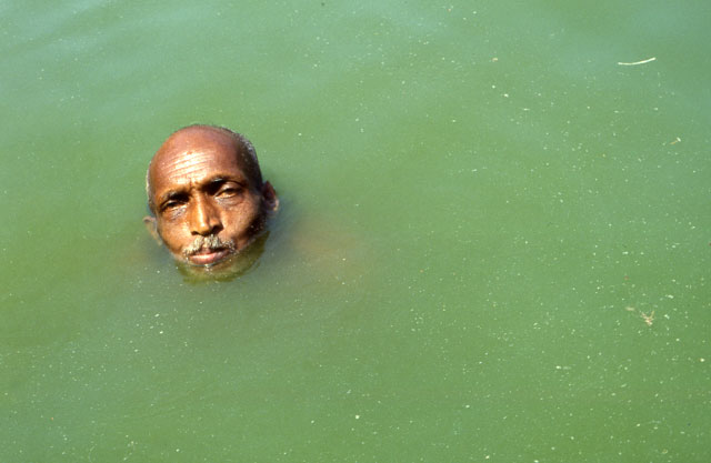 Head in green water