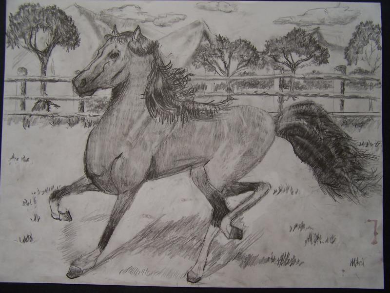 Horse, age 9