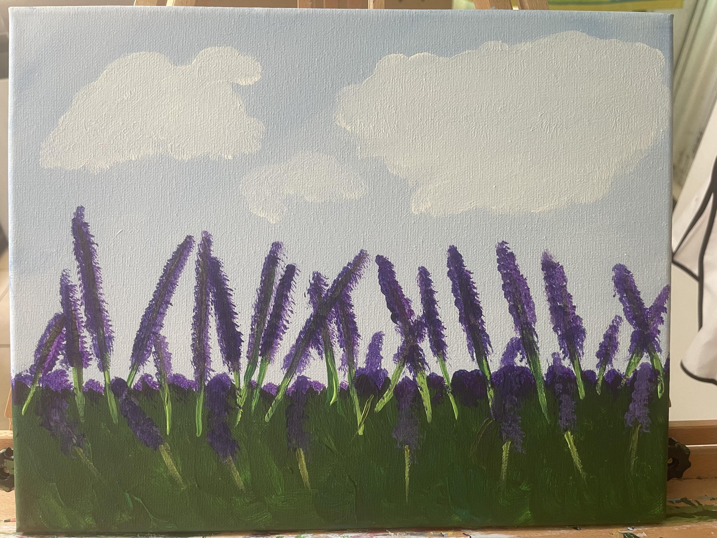 Lavender flowers in a field with clouded sky